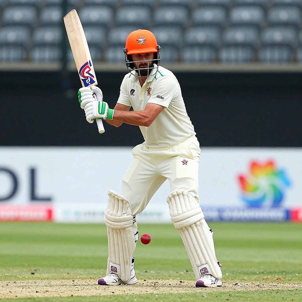 A Cricket Label, a Rickshaw Brush: The File That Had No Ball In It